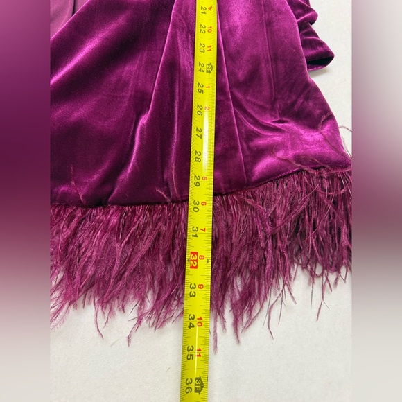 Aidan by Adrianna Papell Magenta Velvet Tuxedo Dress – Feather Hem 💖 - Picture 11 of 14